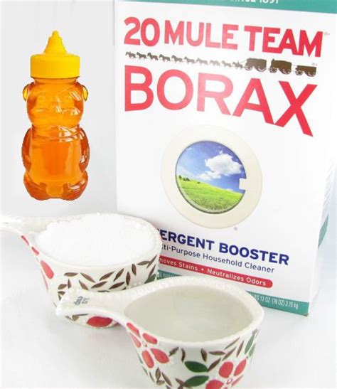 Borax Ant Killers - Testing 5 Different Natural Ant Killers Against ...