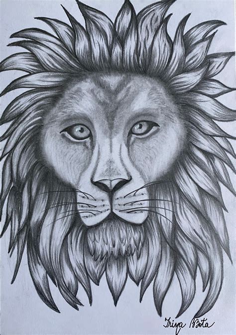 Lion Head In Pencil, Drawing by Irina Bbota | Artmajeur