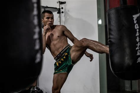 The Complete Guide To The Muay Thai Push Kick - Evolve University