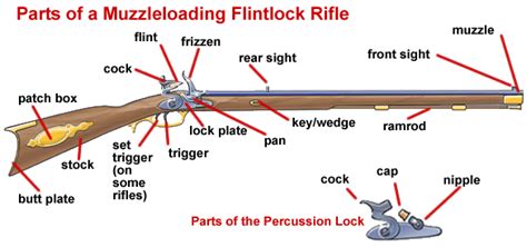 Matchlock | Alaska Muzzleloader Hunter Safety Course - The Parts of a ...