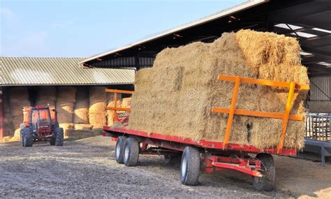 Storage of Fodder in a Stable Stock Image - Image of forage, tractor ...