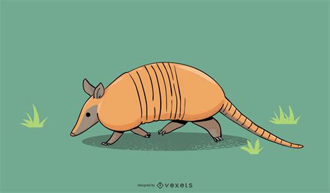 Armadillo Illustration Design Vector Download