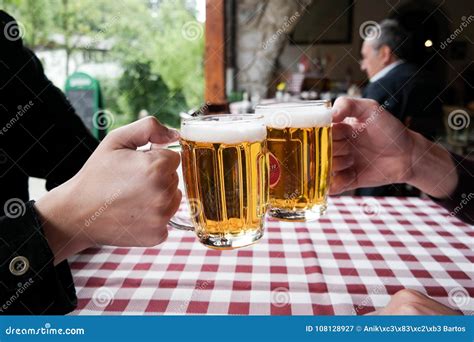 Toast with beer stock image. Image of alcohol, toast - 108128927