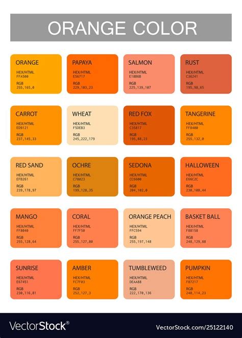 Orange color codes and names selection colors vector image on ...