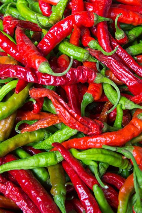 Capsaicin – Introduction to Sensation and Perception