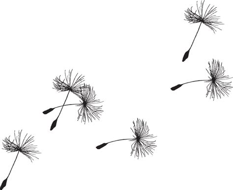 Free vector graphic: Dandelion, Seed, Flora, Grass - Free Image on ...