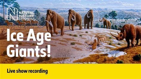 Ice Age Megafauna | Live Talk with NHM Scientist - YouTube