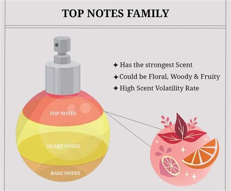 The A-Z Guide To Perfume Notes