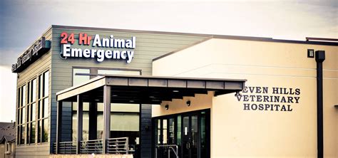 Top Rated Local Veterinarians – Seven Hills Veterinary Hospital, Inc