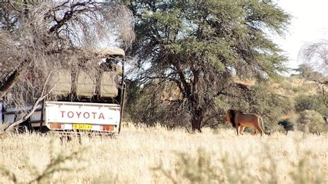 Safari & Tours in Namibia - Opulent Routes