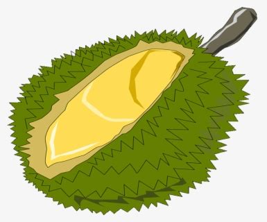 Durian Cartoon Png , Free Transparent Clipart - ClipartKey