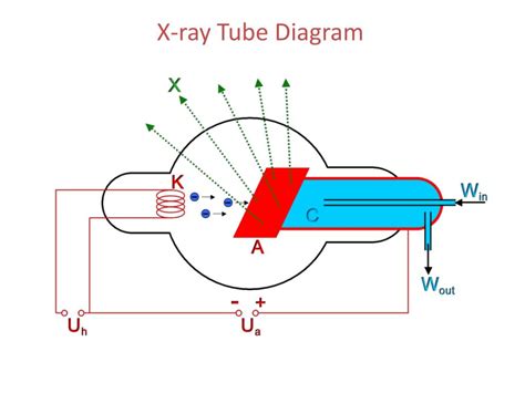 PPT - X-ray Tube Diagram PowerPoint Presentation, free download - ID ...