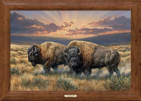 Dusty Plains Bison Framed Canvas Art Print Wall Art - Wall Decor - Wild ...