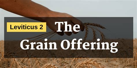 Leviticus 2, The Grain Offering – South Franklin church of Christ