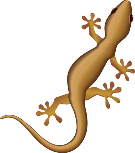 Free lizard vector free vector download (79 Free vector) for commercial ...