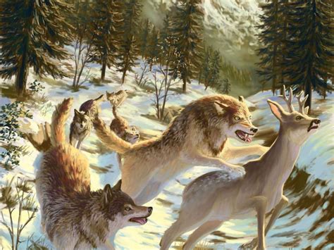 Image - Wolves-hunting-deer-snow-winter-animals-predator-mammal-forest ...