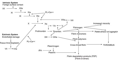 Interaction(s) between the coagulation system and fibrinolytic system ...