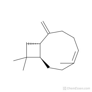 BETA-CARYOPHYLLENE Structure - C15H24 - Over 100 million chemical ...