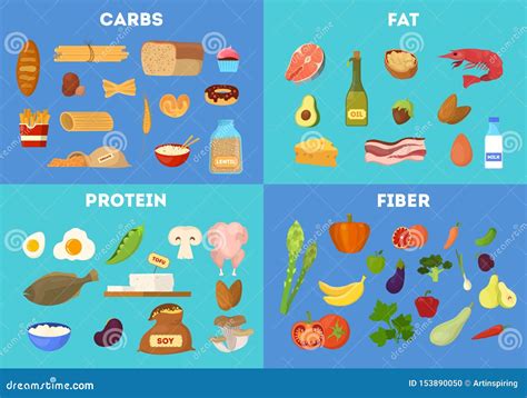 Food Groups Set. Protein and Fiber Food Stock Vector - Illustration of ...