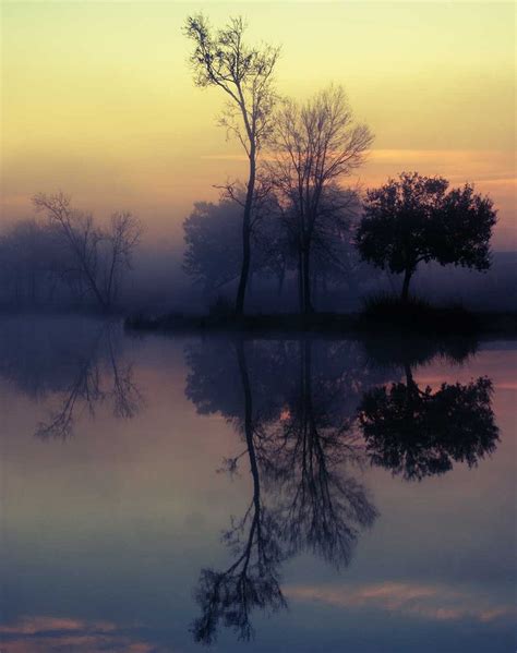 Foggy Lake Sunrise, Louisiana Nature Wall Art Print – Lost Kat Photography