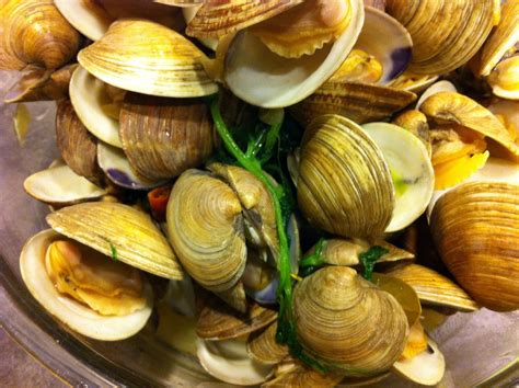 Food Sparks: Steamed Clams and Mussels