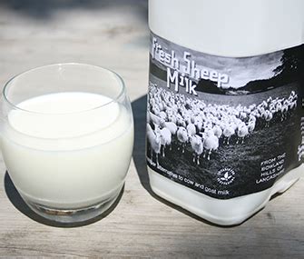 Sheep Milk | The Sheep Milk Company