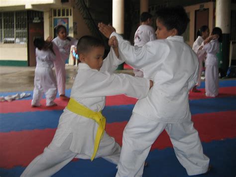 File:JJS Karate Kids on Training.jpg - Wikimedia Commons