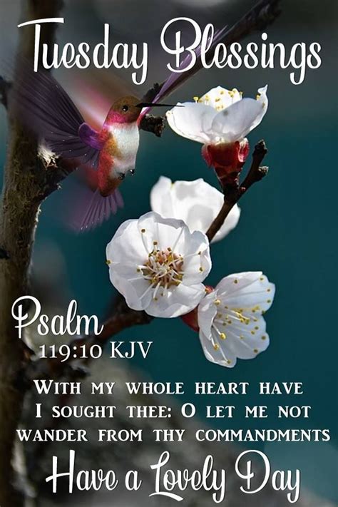 Tuesday Blessings Psalm 119:10 flowers bible verse tuesday happy ...