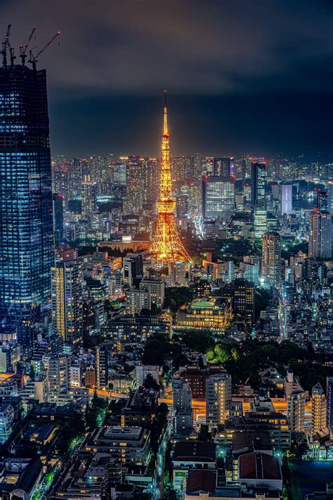 Tokyo night view | Tokyo night, Tokyo japan travel, Japan travel