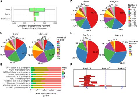 Analysis of restriction sites over genic and intergenic regions. (A ...