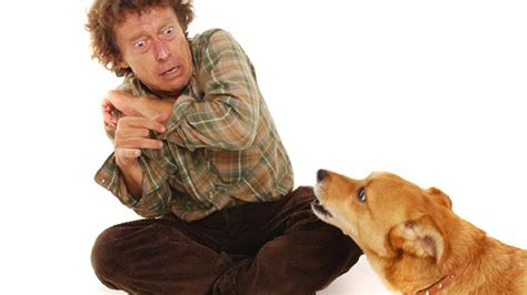 How to Overcoming Your Fear of Dogs - Doglopedix