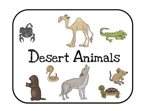 Desert Animals Drawings at PaintingValley.com | Explore collection of ...