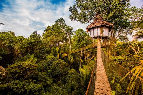 Treehouse Lodge Iquitos - Tree Top Canopy Bungalows With Peruvian ...