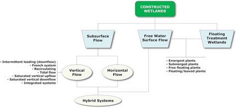 Classification of Constructed Wetlands. | Download Scientific Diagram