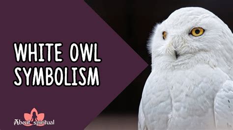 White Owl Symbolism - YouTube