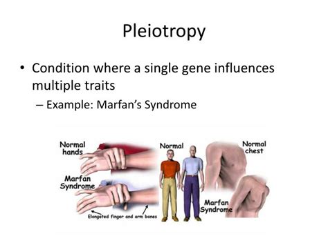 PPT - Patterns of Inheritance PowerPoint Presentation - ID:3133372