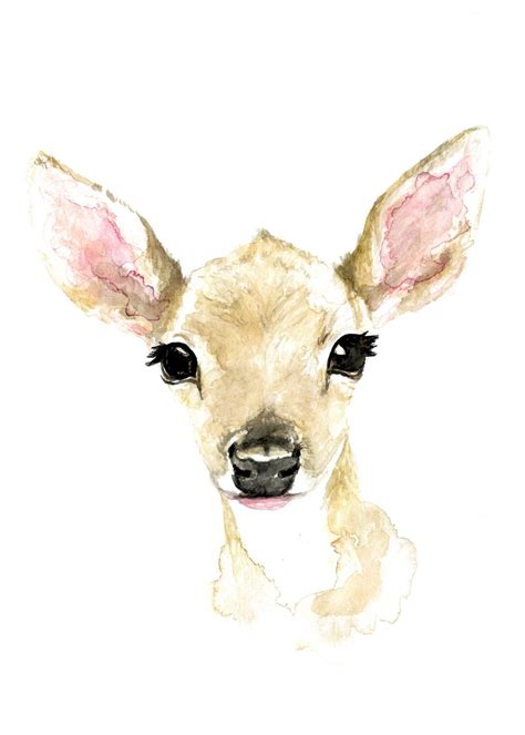 Baby Deer Watercolor at PaintingValley.com | Explore collection of Baby ...