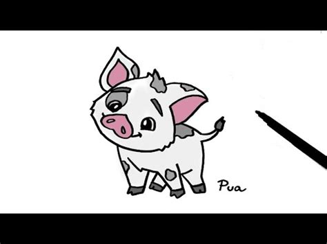 How to Draw Pua from Moana I Easy Drawing Step by Step - YouTube