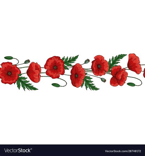 Seamless brush border red poppy flowers Royalty Free Vector