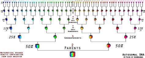 DNA Testing for Genealogy – Getting Started, Part Three