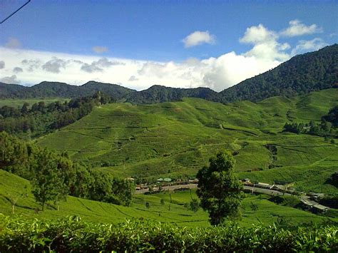 Liburan di Puncak Bogor - Wisata Indonesia