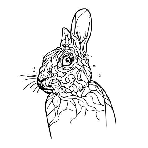 line drawing of a male rabbit's head 22444357 Vector Art at Vecteezy