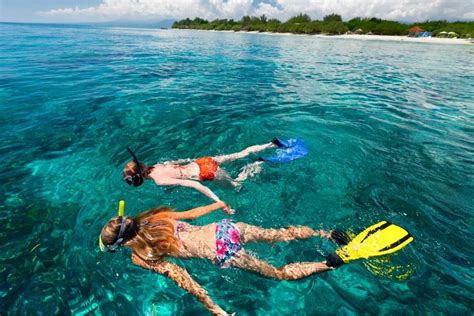 Cozumel Snorkeling Guide for December 2024 | Island Life Mexico