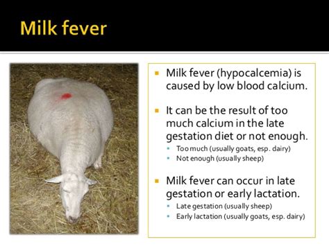 Copy of Milk Fever by Kalah Mundy