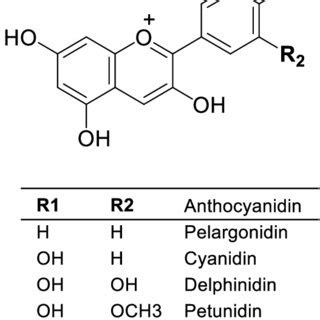 (PDF) A Review of Factors Affecting Anthocyanin Bioavailability ...