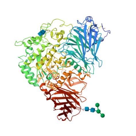 RCSB PDB - 3LPO: Crystal structure of the N-terminal domain of sucrase ...