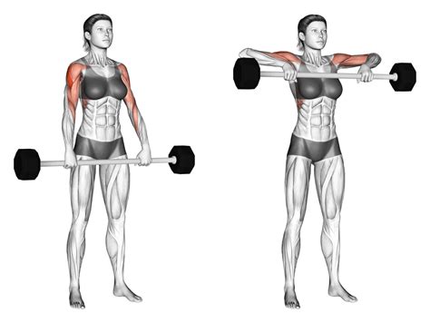 Upright Barbell Row: How To Do, Muscle Worked & Benefits