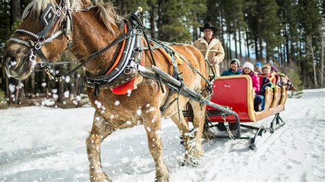 Top 5 Things To Do In Lake Tahoe During Winter | Winter Activities