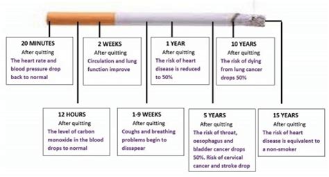 Quit Smoking Timeline - Quit smoking today