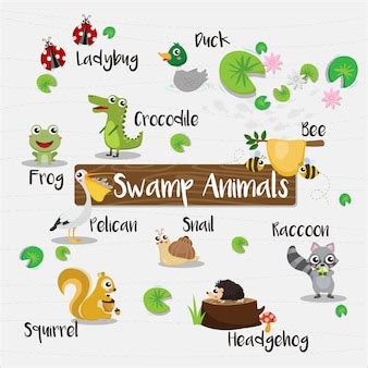 Premium Vector | Swamp animals cartoon with animal name